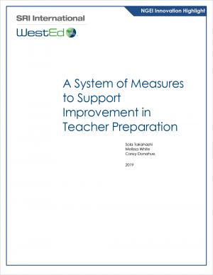 A System of Measures to Support Improvement in Teacher Preparation