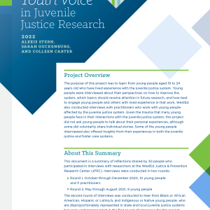research questions about juvenile justice system
