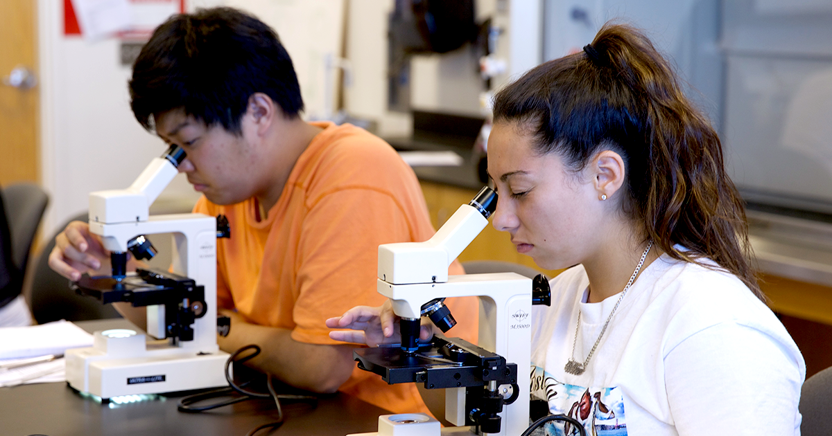 Two students looking through microscopes