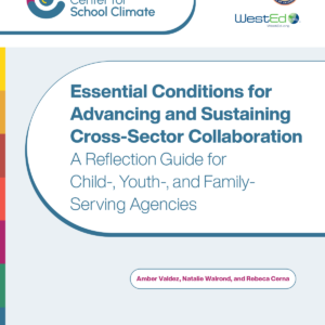 Essential Conditions for Advancing and Sustaining Cross-Sector Collaboration: A Reflection Guide for Child-, Youth-, and Family-Serving Agencies